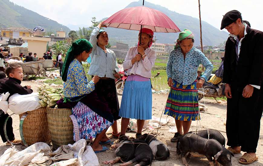 Some minority women at the market with their livestock.