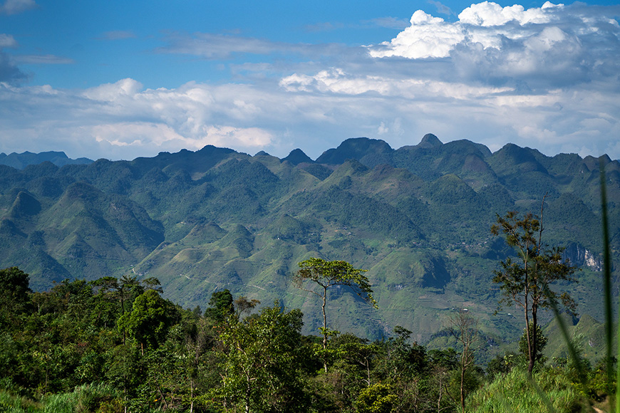 Ha Giang: A biodiversity jewel in northern Vietnam 