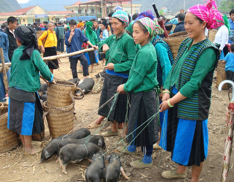 coc-pai
