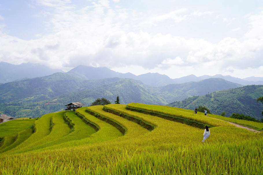 Hoang Su Phi essentials