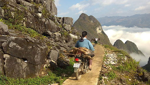 Off The Beaten Track in Northern Vietnam 8 Days 7 Nights