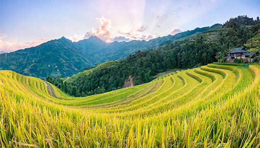 6-day Trekking in Ha Giang - Hoang Su Phi