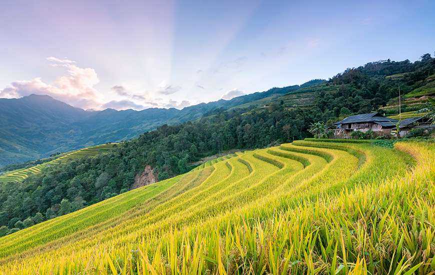 Traditional Ha Giang rice-fields.