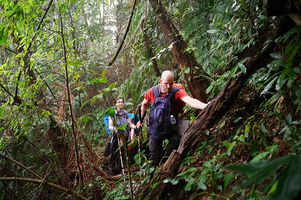 Ha Giang adventure: A journey to the heart of Northern Vietnam