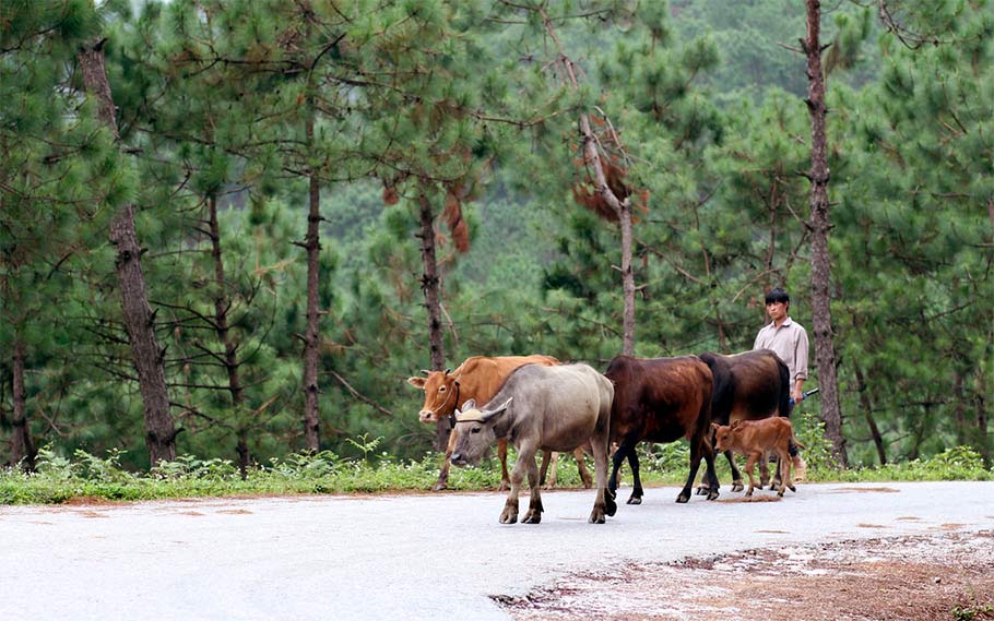 Na Khe Yen Minh