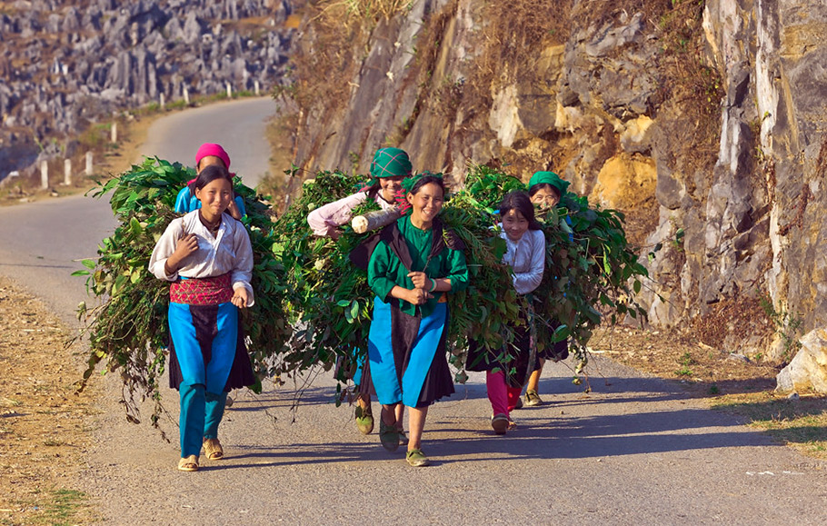 Ethnic Minorities & Markets of Ha Giang